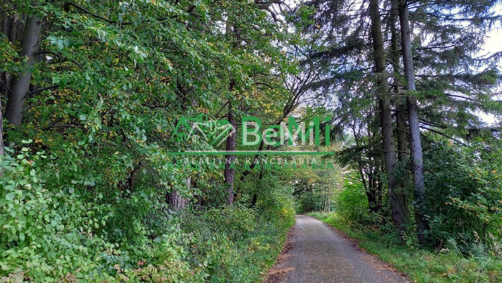 Predaj, pozemok, 27 455m2, Turčianske Teplice (012-14-MAB)