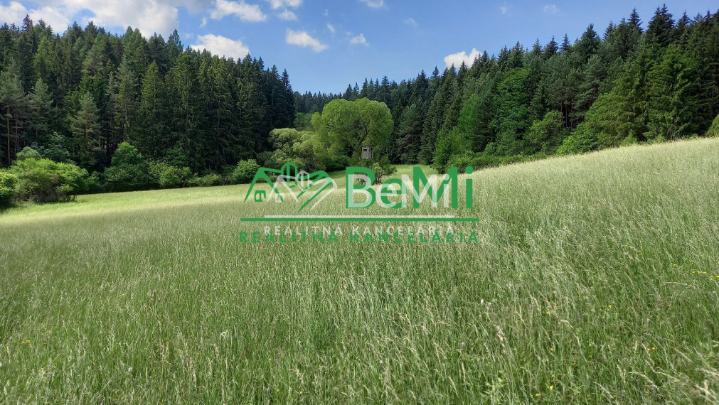 Predaj: Pozemok 7559m2,  Dolný Hričov - Peklina (005-14-BOC)