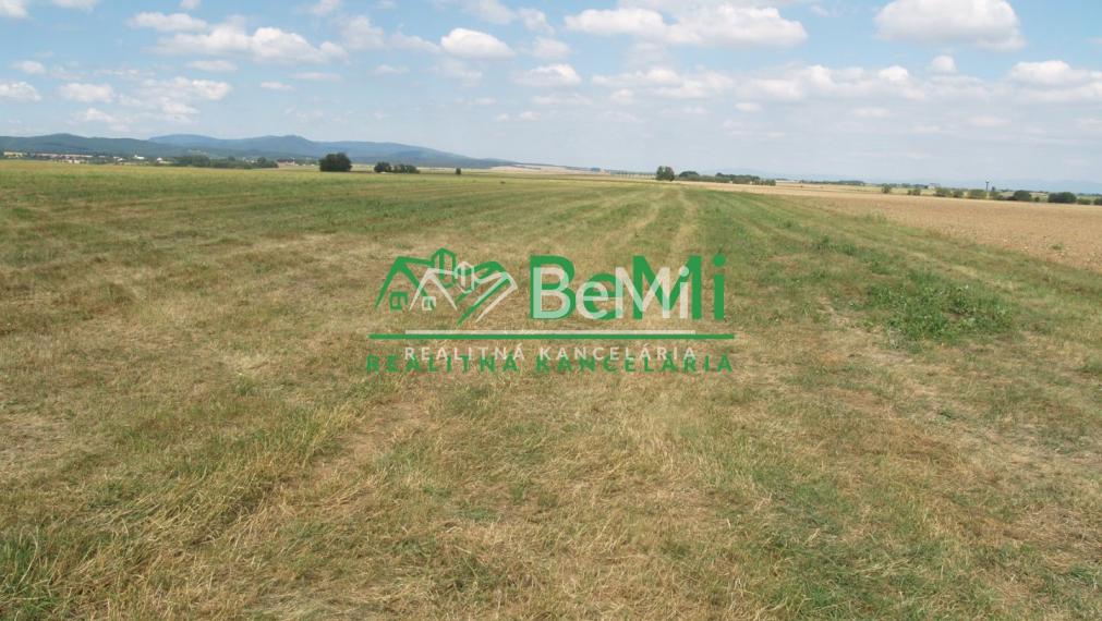 TO - Predaj pozemku v obci Hajná Nová Ves