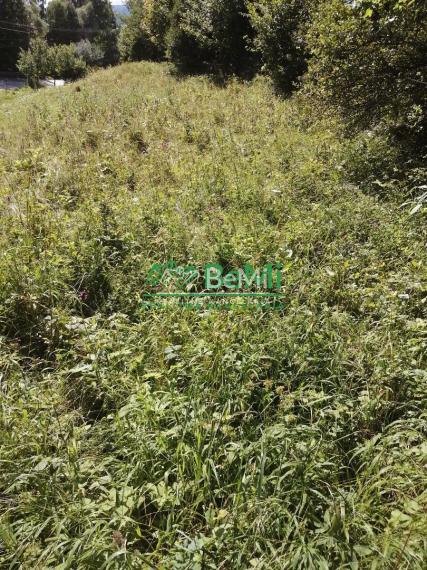 Predaj, pozemok 784m2, Terchová (032-14-MACHa)