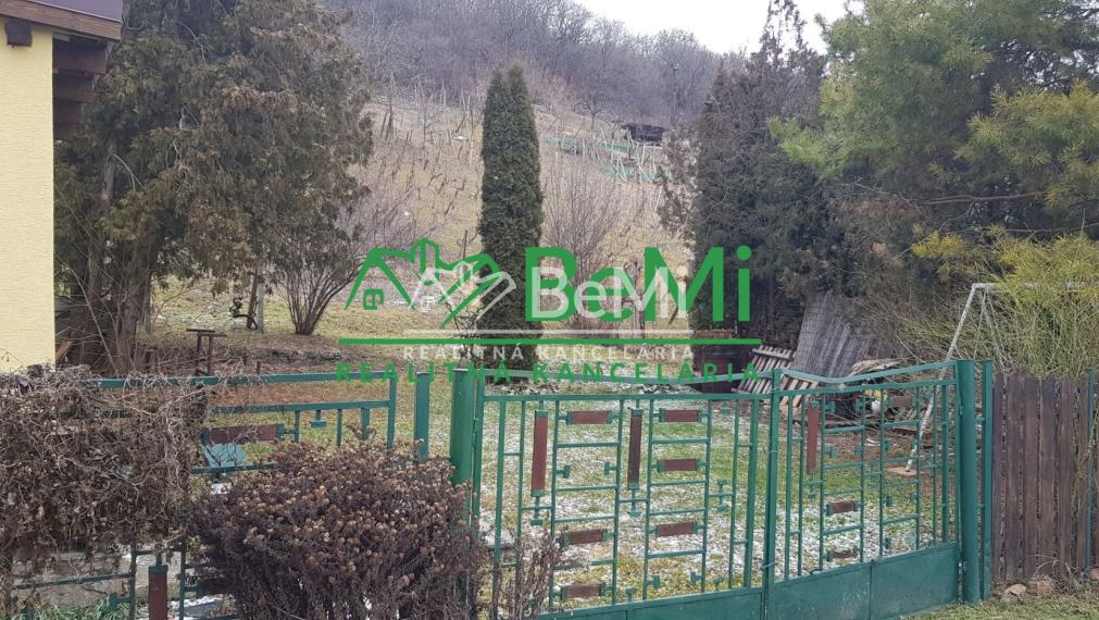 Predaj  chata, viničný dom -  Mýtne Ludany  (008-13-PEKR)