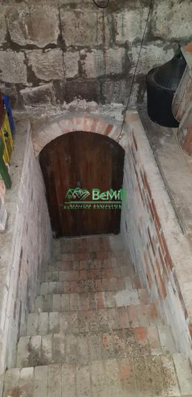 Predaj  chata, viničný dom -  Mýtne Ludany  (008-13-PEKR)