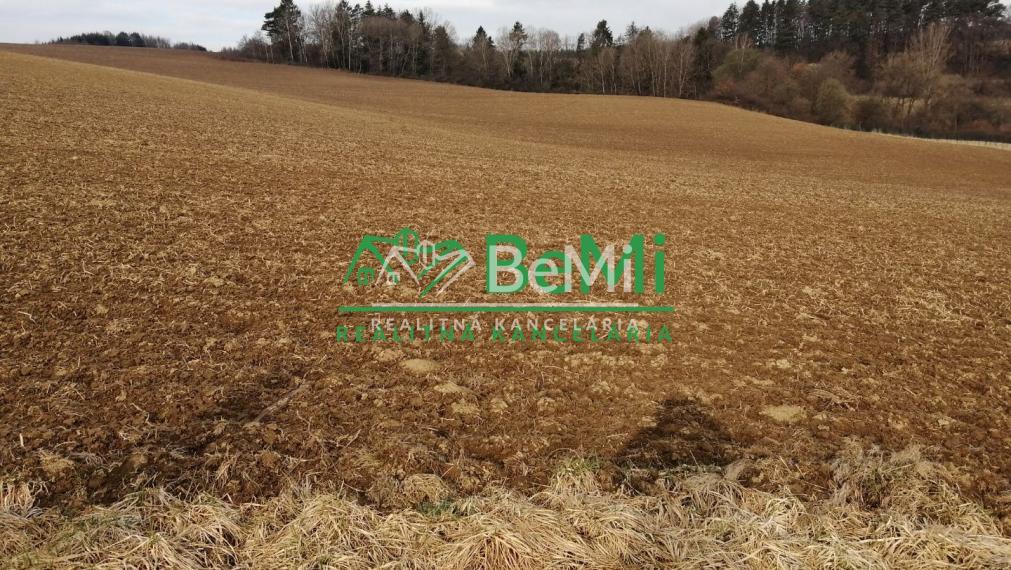 Predaj, investičný pozemok, 8 186m2, Brezany (095-14-MACHa)