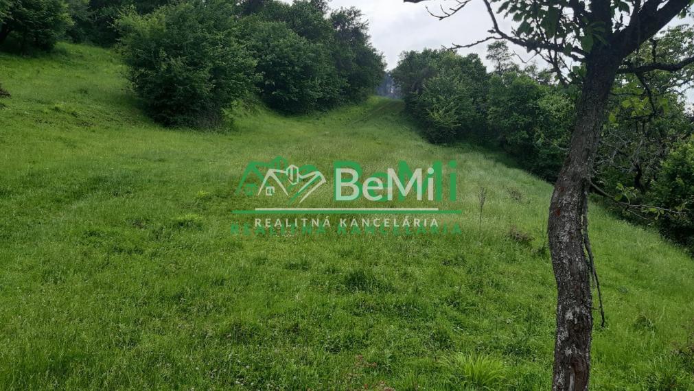 Predaj, pozemky, obec Paština Závada, Žilina (066-14-BOC)