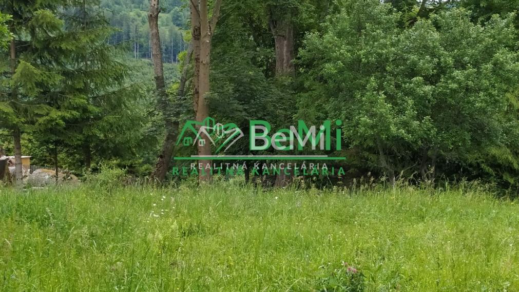 Predaj, drevenica,110m2,pozemok 650m2,, Oščadnica, okr: Čadca (777-12-JAS)