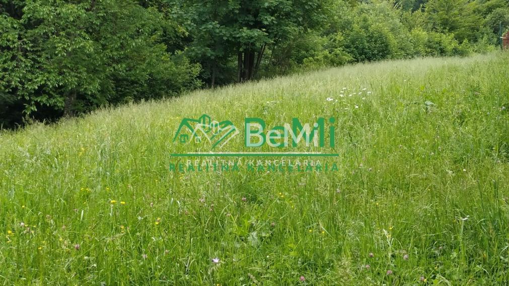 Predaj, drevenica,110m2,pozemok 650m2,, Oščadnica, okr: Čadca (777-12-JAS)