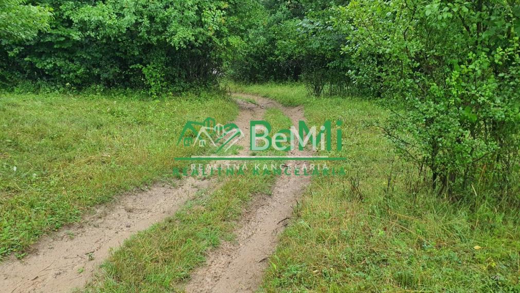 Predaj, pozemok, 1489m2, Terchová (137-14-MACHa)