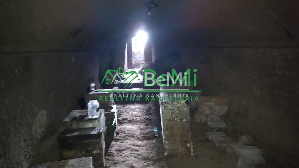 Vinný dom s veľkou vinnou pivnicou na predaj ID: 017-14-STKa