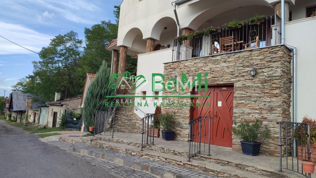 Vinný dom s veľkou vinnou pivnicou na predaj ID: 017-14-STKa