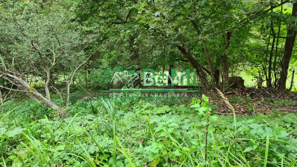 Predaj, pozemok, 3385m2, Turzovka - Turkov, okr: Čadca (728-14-JAS)