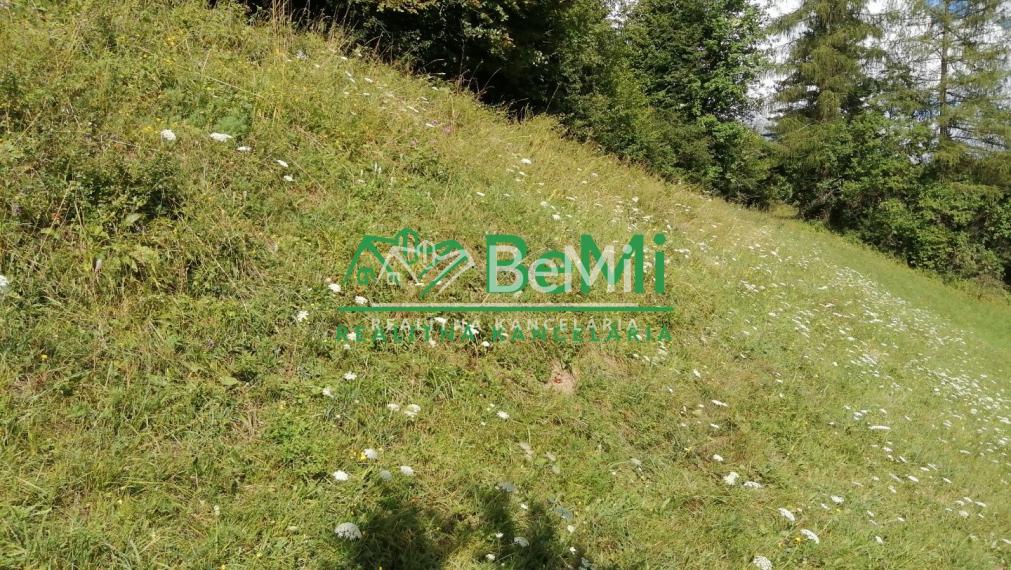 Predaj, pozemok 784m2, Terchová (032-14-MACHa)