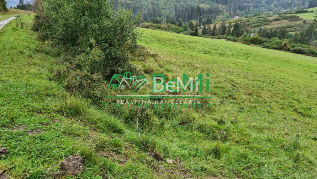 Predaj, pozemok, 2800m2 v obci Raková okr. Čadca (807-14-JAS)