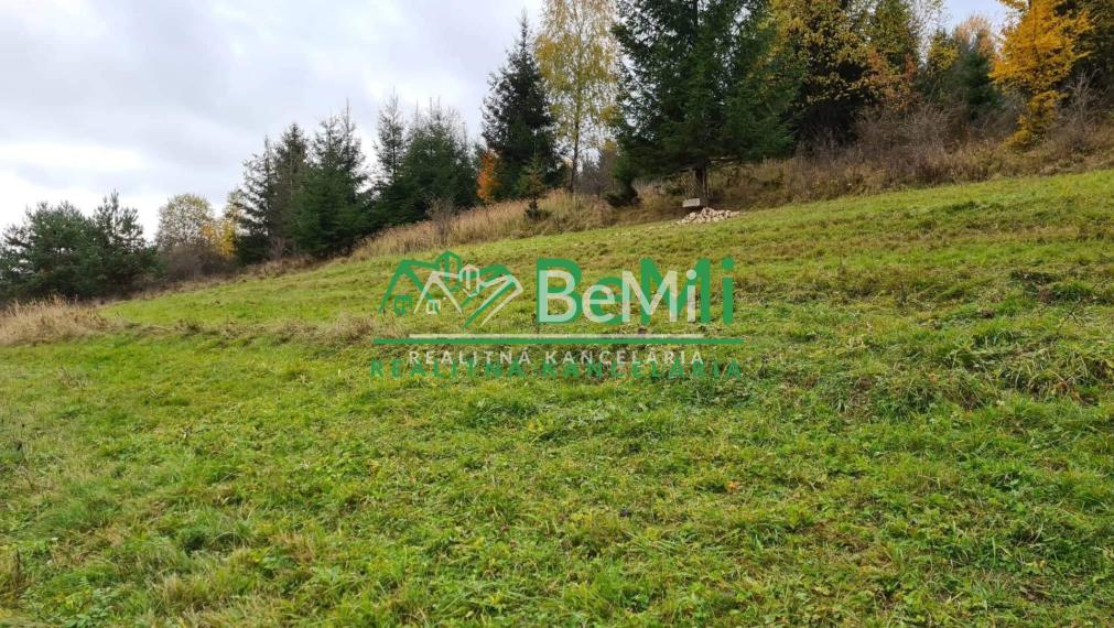 Predaj, pozemok, 3590m2, Staškov, okr: Čadca (310-14-JAS)