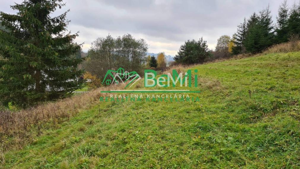 Predaj, pozemok, 3590m2, Staškov, okr: Čadca (310-14-JAS)