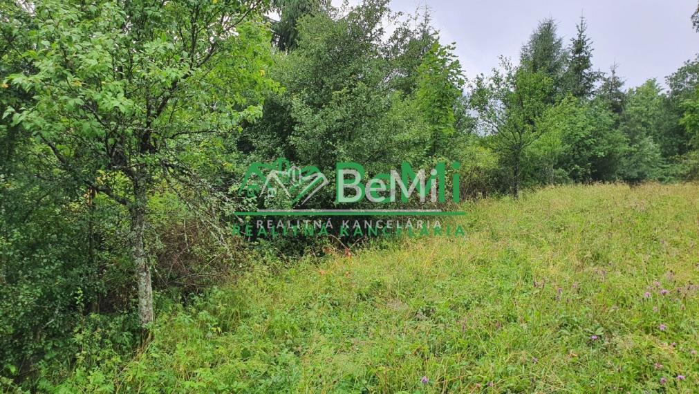 Predaj, pozemok, 1489m2, Terchová (137-14-MACHa)