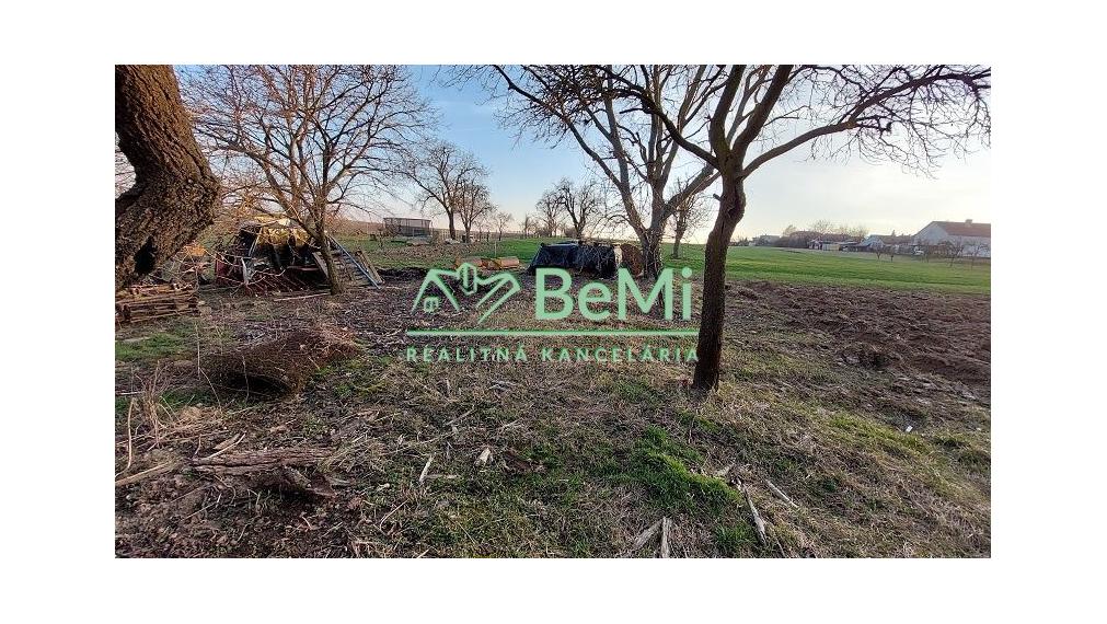 Predaj - starý rodinný dom v obci Radošina ID 118-12-LUGUa