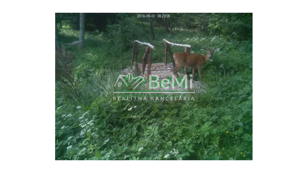 Predaj, rodinná vila, Čadca-Podzávoz (125-12-MACHa)