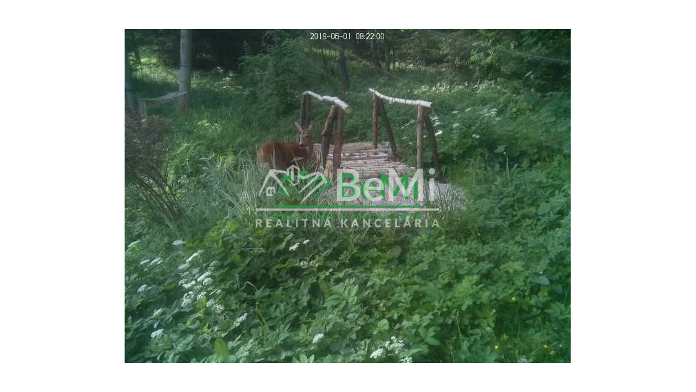 Predaj, rodinná vila, Čadca-Podzávoz (125-12-MACHa)