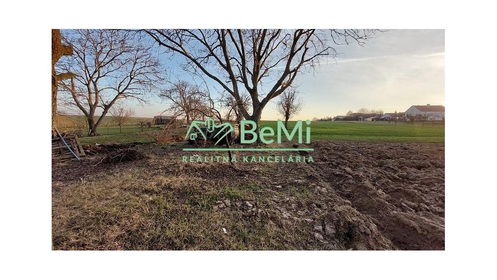 Predaj - starý rodinný dom v obci Radošina ID 118-12-LUGUa