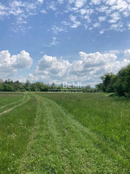 Rovinaté pozemky Sása, Zvolen