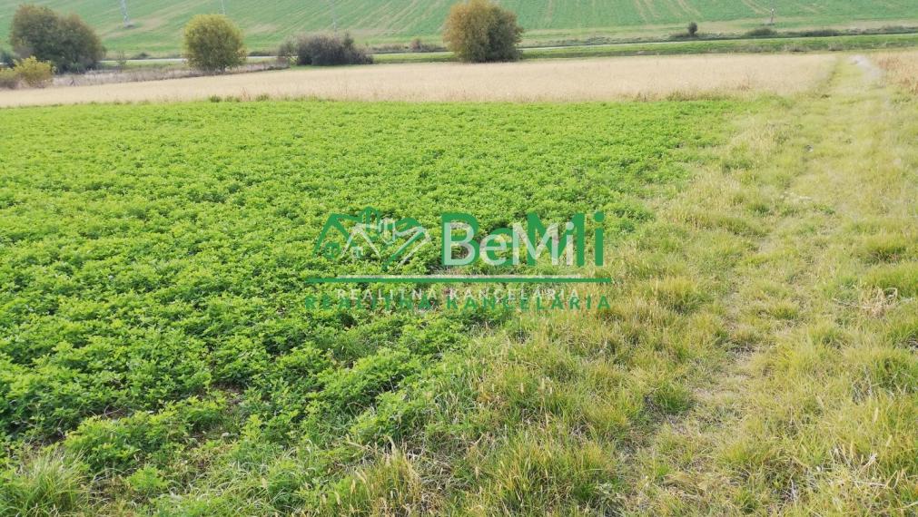 EXKLUZÍVNE - Na predaj investičný pozemok Nitra. 4316 m2