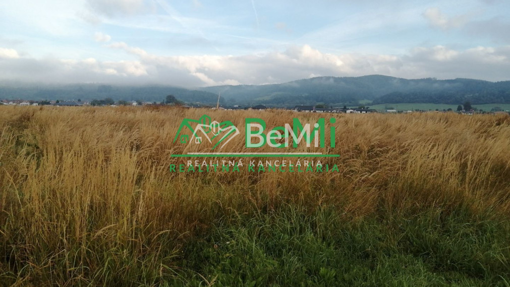 Predaj: investičný pozemok,90 841m2, Kotešová (205-14-MACHa)