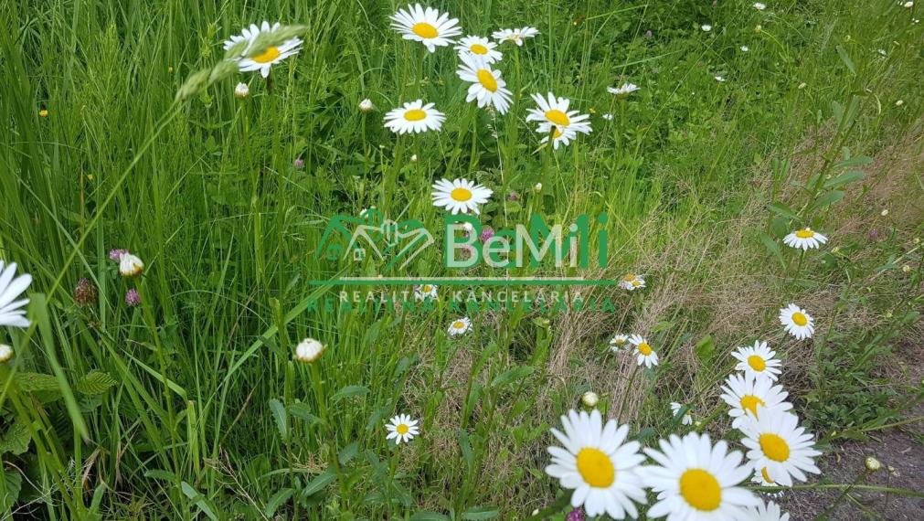 POZEMOK s prekrásnymi výhľadmi...Vyhne (057-14-DAR)