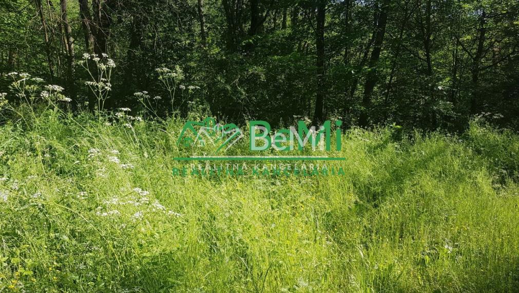 POZEMOK s prekrásnymi výhľadmi...Vyhne (057-14-DAR)