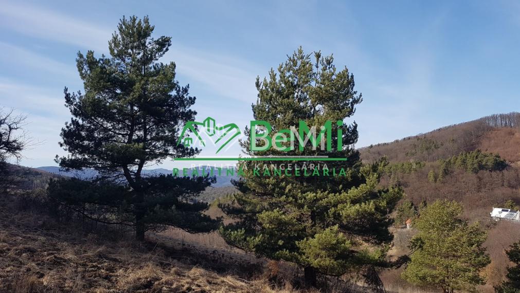 POZEMOK s prekrásnymi výhľadmi...Vyhne (057-14-DAR)