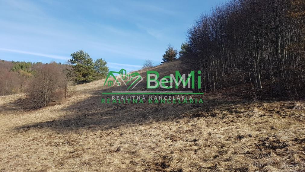 POZEMOK s prekrásnymi výhľadmi...Vyhne (057-14-DAR)