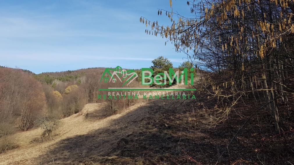 POZEMOK s prekrásnymi výhľadmi...Vyhne (057-14-DAR)