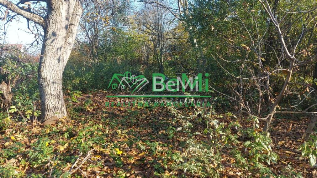 Predaj starší rodinný dom Vráble, NR (107-12-ERF)