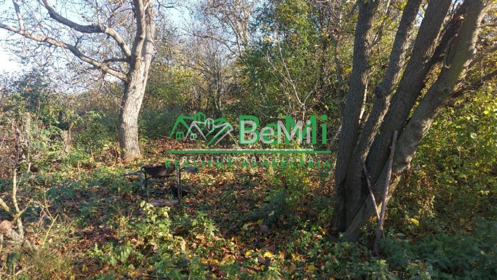 Predaj starší rodinný dom Vráble, NR (107-12-ERF)