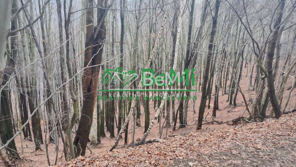 Chata na úplnej samote v lese s vlastnou prístupovou cestou  039-13-MACHO