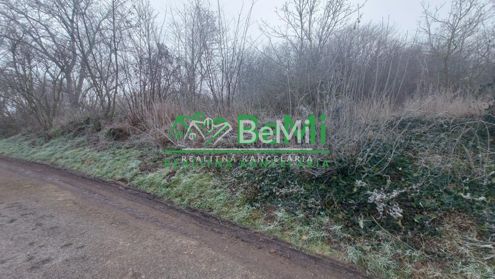 Predaj stavebný pozemok Veľký Báb pri Nitre(153-14-ERF)