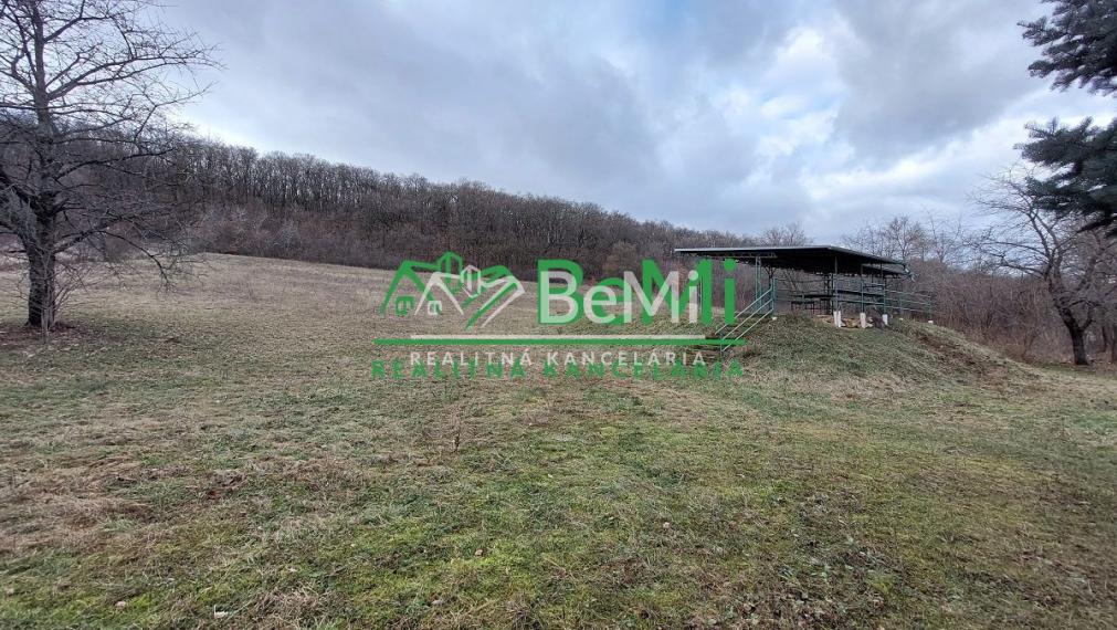 Predaj - Strelnica s poľovníckou chatou v okrese Hlohovec