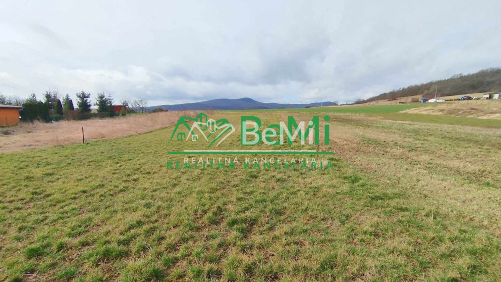 Predaj, rozostavaný rodinný dom - Mankovce (1169-12-AFI)