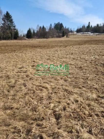 Predaj, investičný pozemok, 6881m2,  Čadca (735-14-JAS)