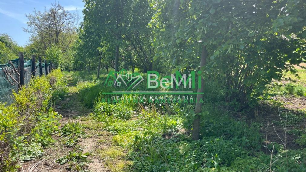 Predaj pozemok - Krškany (002-14-MIJK)