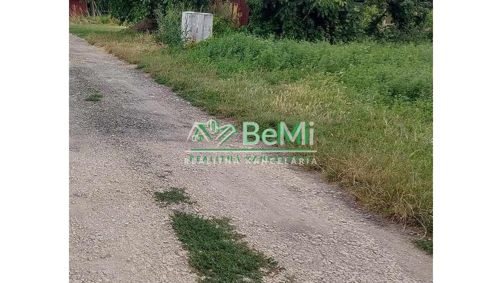 Predaj vinica podiel 1/4 Čechynce pri Nitre, (180-13-ERF)