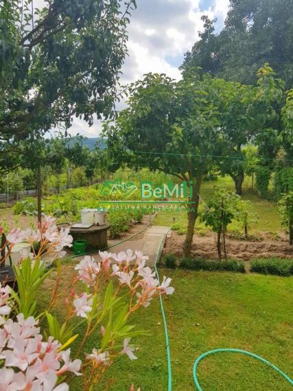 Predaj, rodinný dom, chalupa - Šahy (031-12-PEKR)