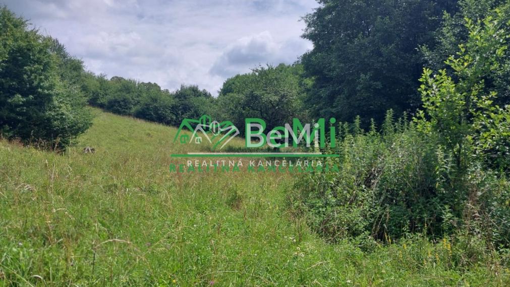 POZEMOK s prekrásnymi výhľadmi...Vyhne (057-14-DAR)