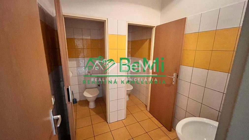 Prenájom výrobnej haly so skladom v Partizánskom 002-28-ANPEa