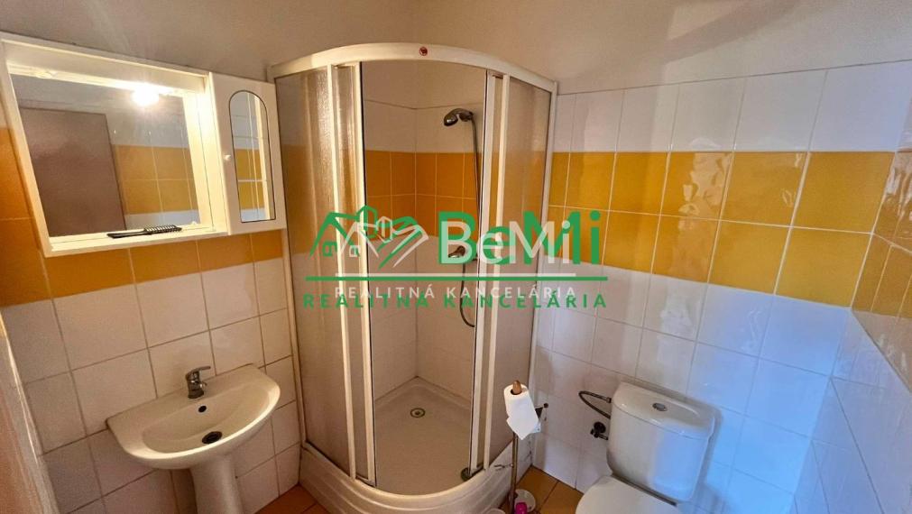 Prenájom výrobnej haly so skladom v Partizánskom 002-28-ANPEa