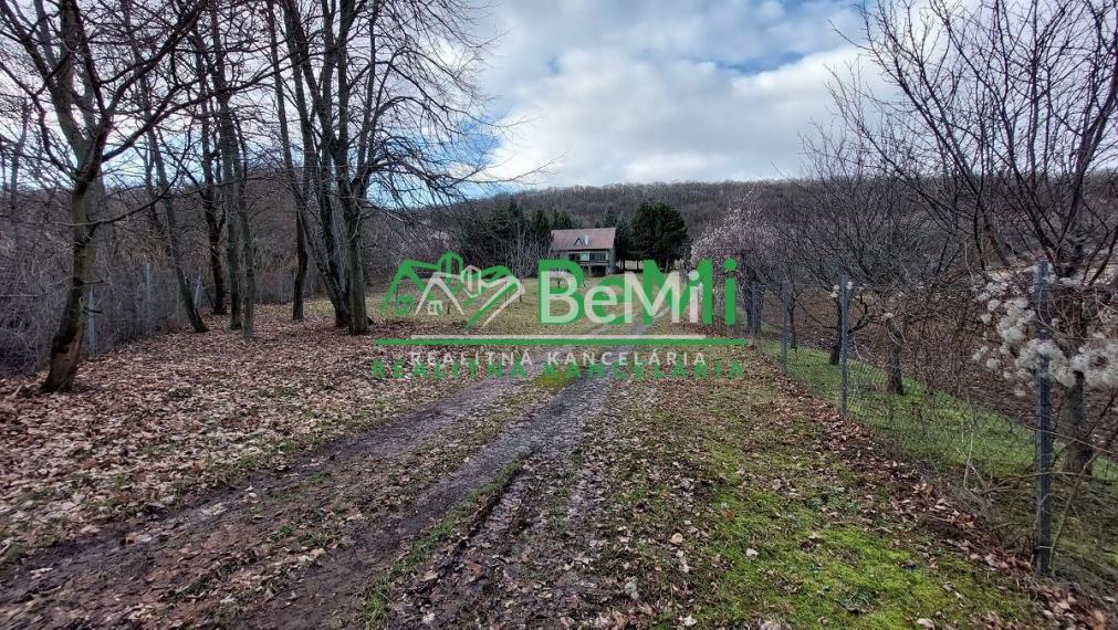 Predaj - Strelnica s poľovníckou chatou v okrese Hlohovec