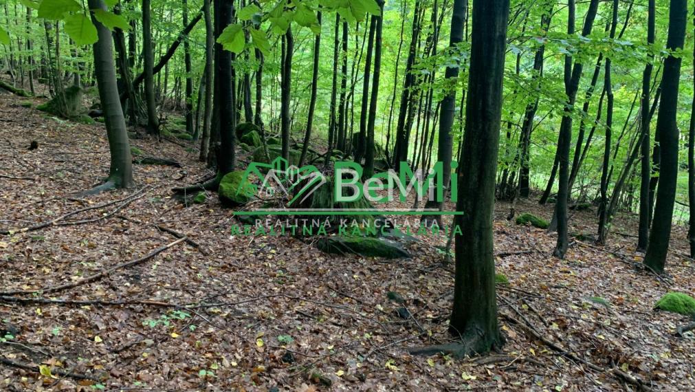 Pozemky s krásnym výhľadom, Michalková