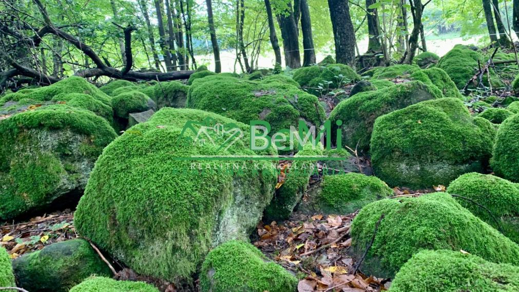 Slnečné pozemky 11434 m2, Michalková