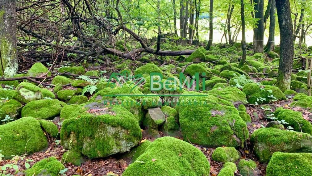 Slnečné pozemky 11434 m2, Michalková