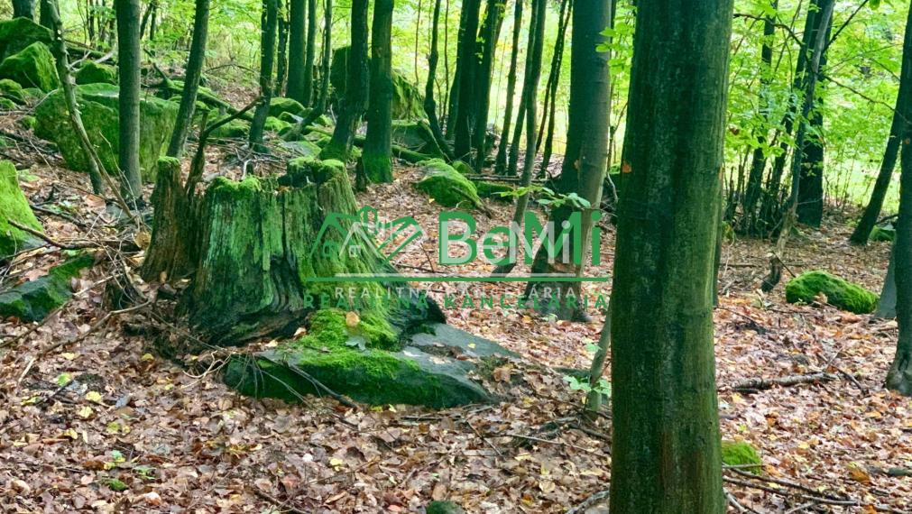 Slnečné pozemky 11434 m2, Michalková