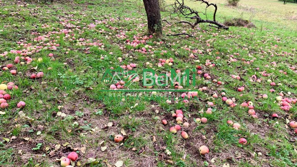 Slnečné pozemky 11434 m2, Michalková